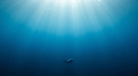 Crystal clear Atlantic Ocean underwater scene with exceptional visibility showing deep blue water and sunlight penetrating the depths
