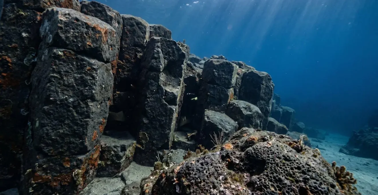 Dark basalt rock formations with intricate crevices harboring hidden marine life in dappled underwater light