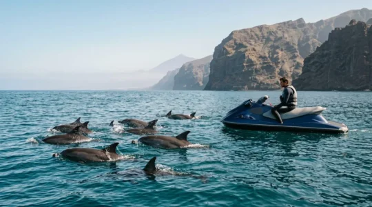 Jet ski rider maintaining respectful distance from dolphins in clear Tenerife waters with volcanic coastline