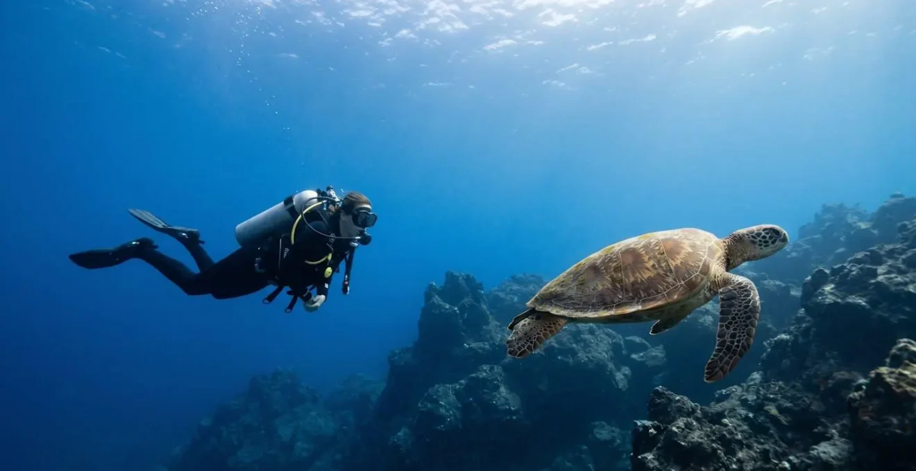 Scuba diver observing a protected marine turtle in Tenerife's crystal-clear volcanic underwater landscape