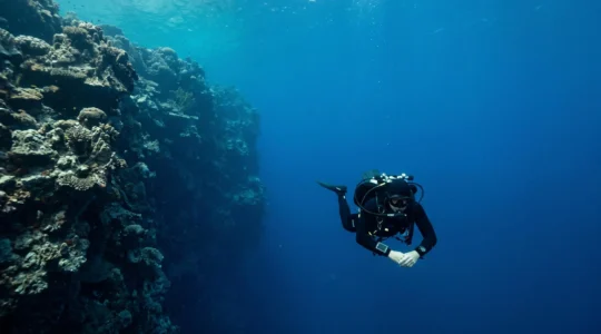 Scuba diver at vertical reef wall checking dive computer display during enriched air nitrox dive